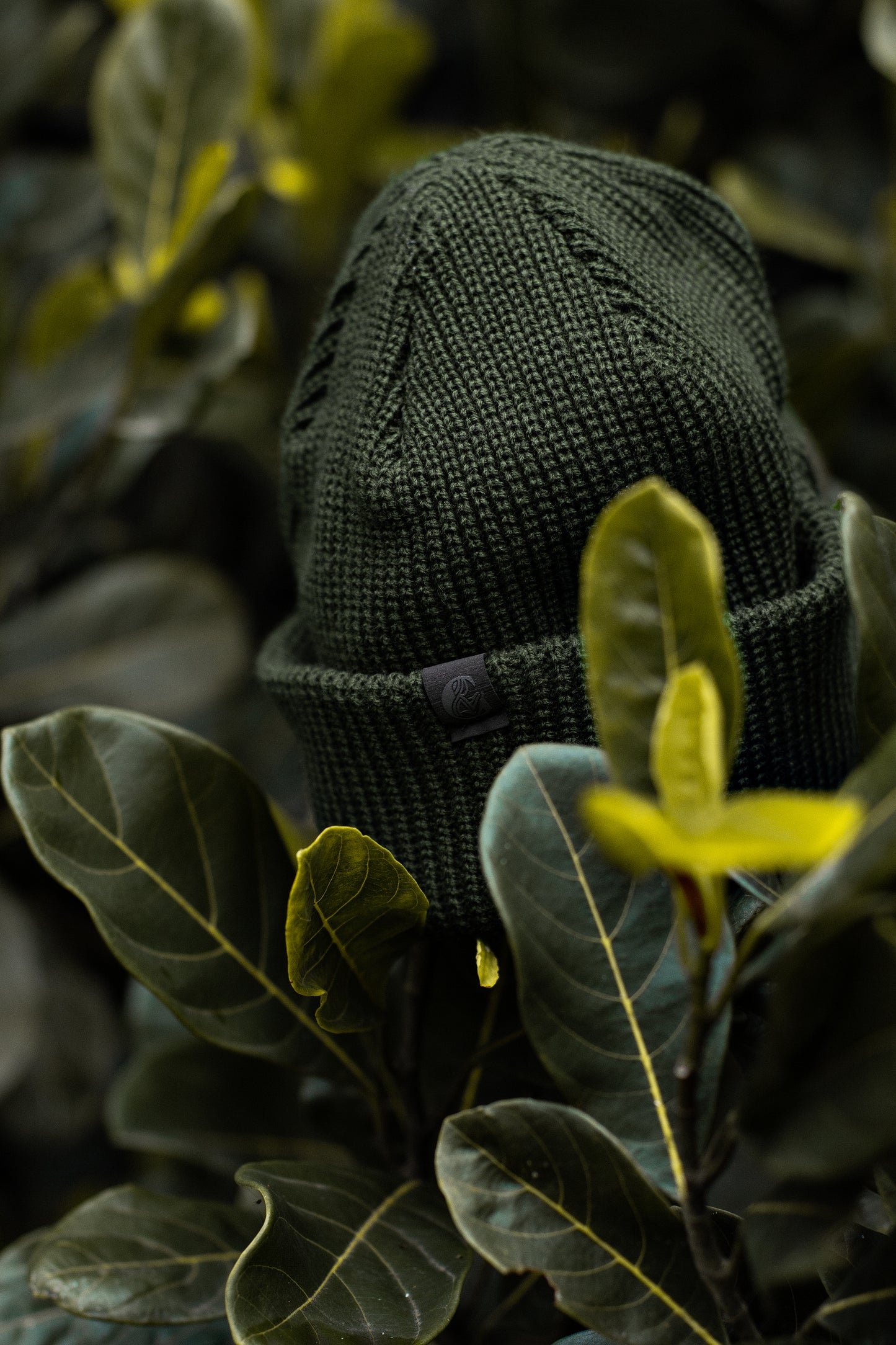 Gorro Ameglia Verde